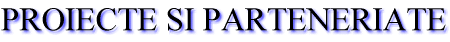 PROIECTE SI PARTENERIATE